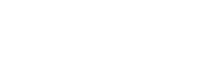 MFLEX CHILE